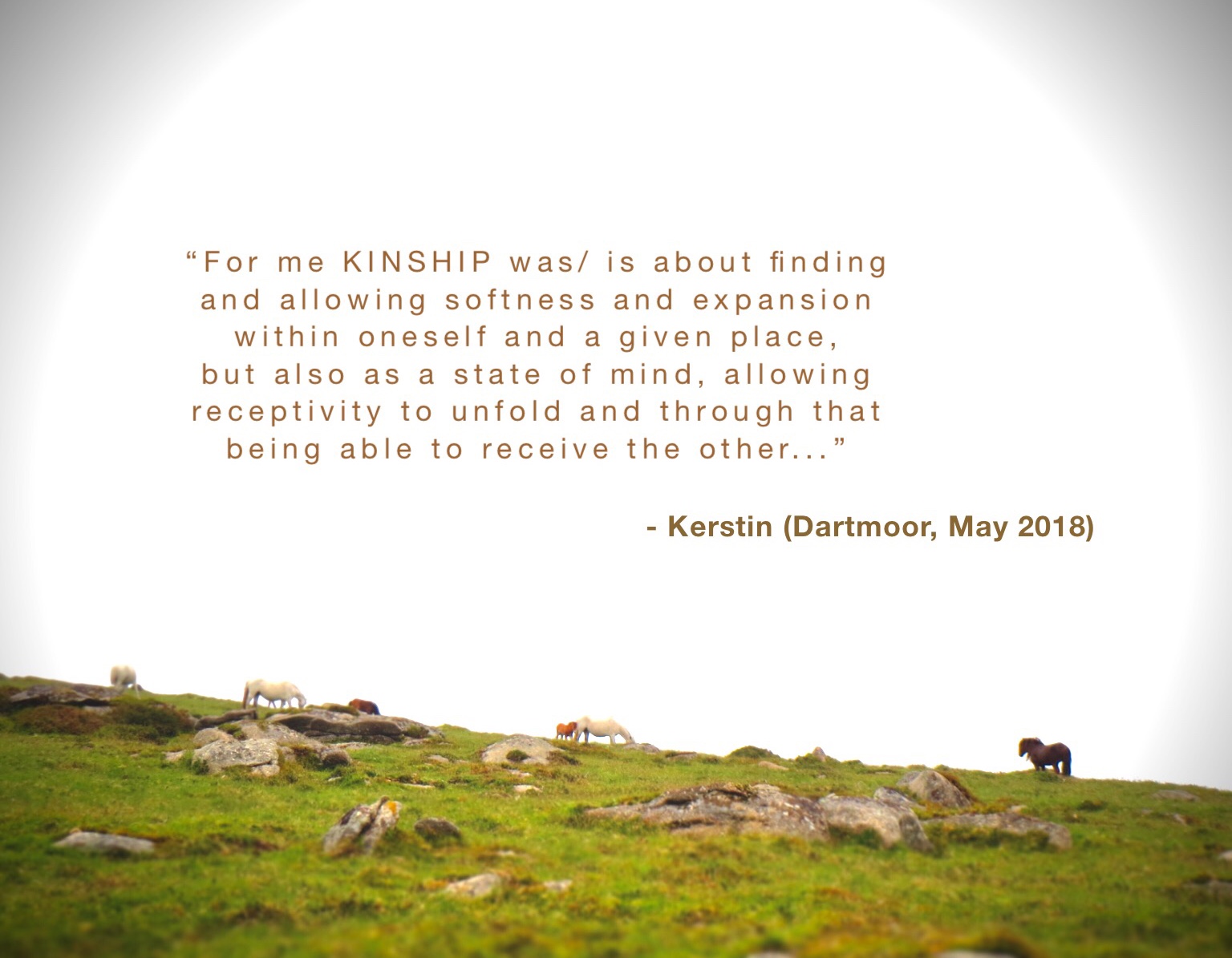 Participant Kerstin's thoughts on Kinship Workshop