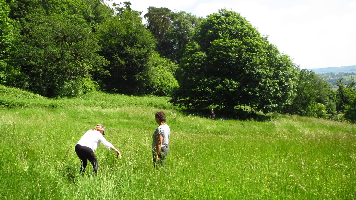 2 people exploring the long grass