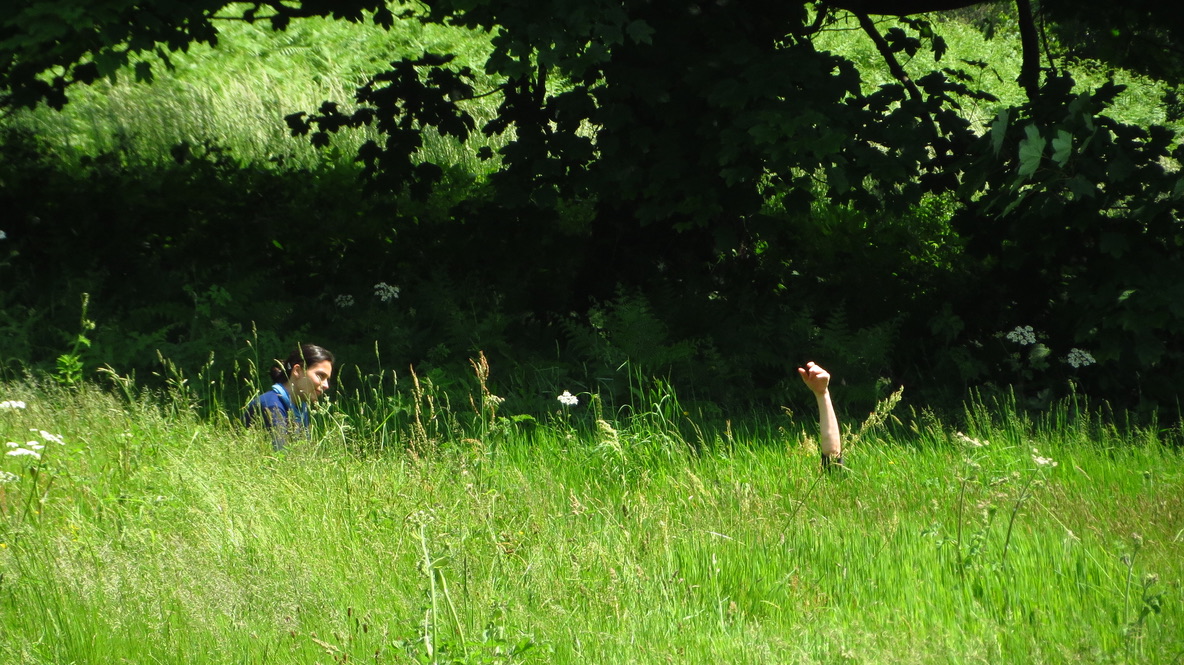 two people in the long grass