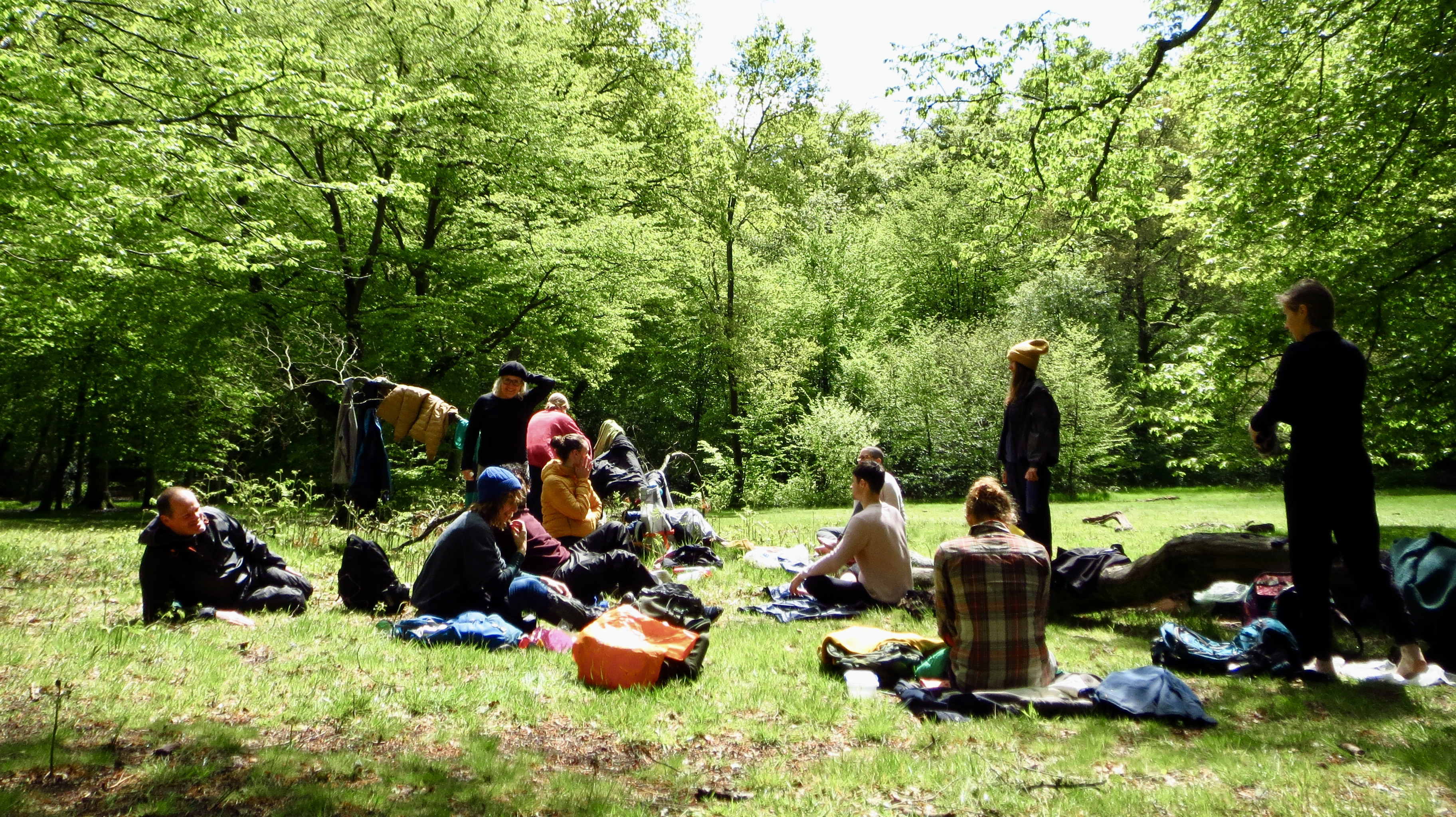 group reflections in a glade