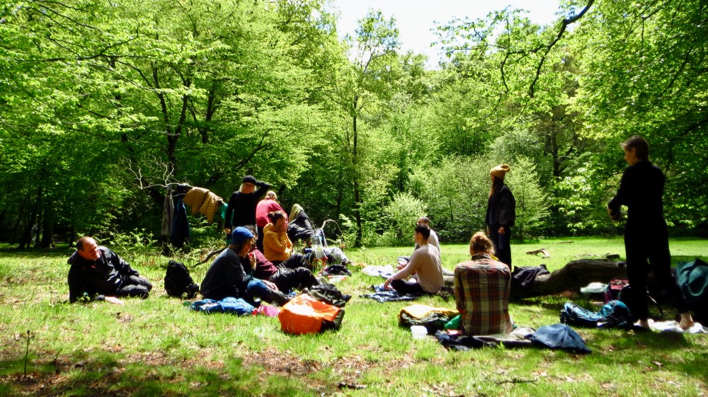 group reflections in a glade