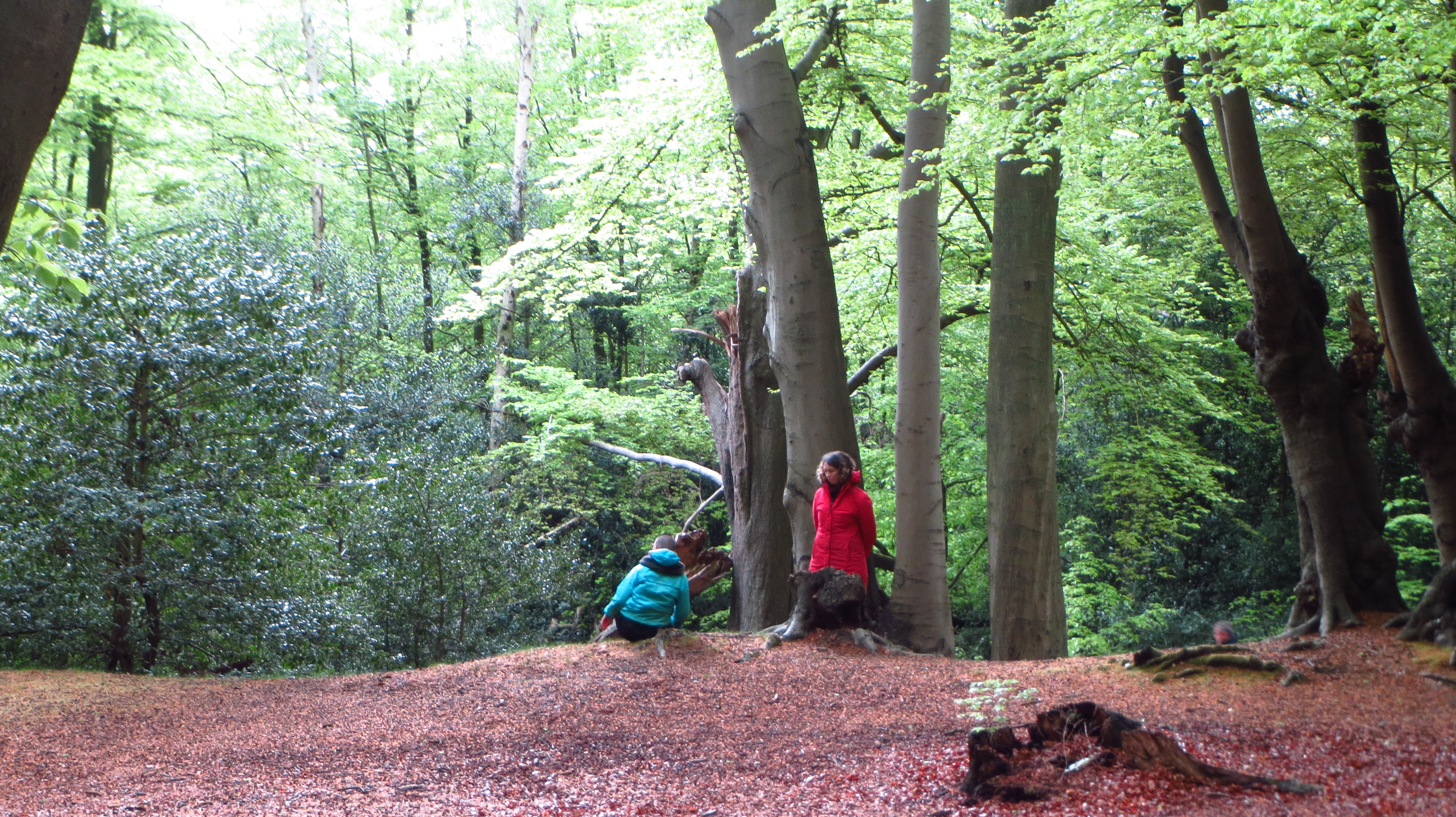 witnessing partner work