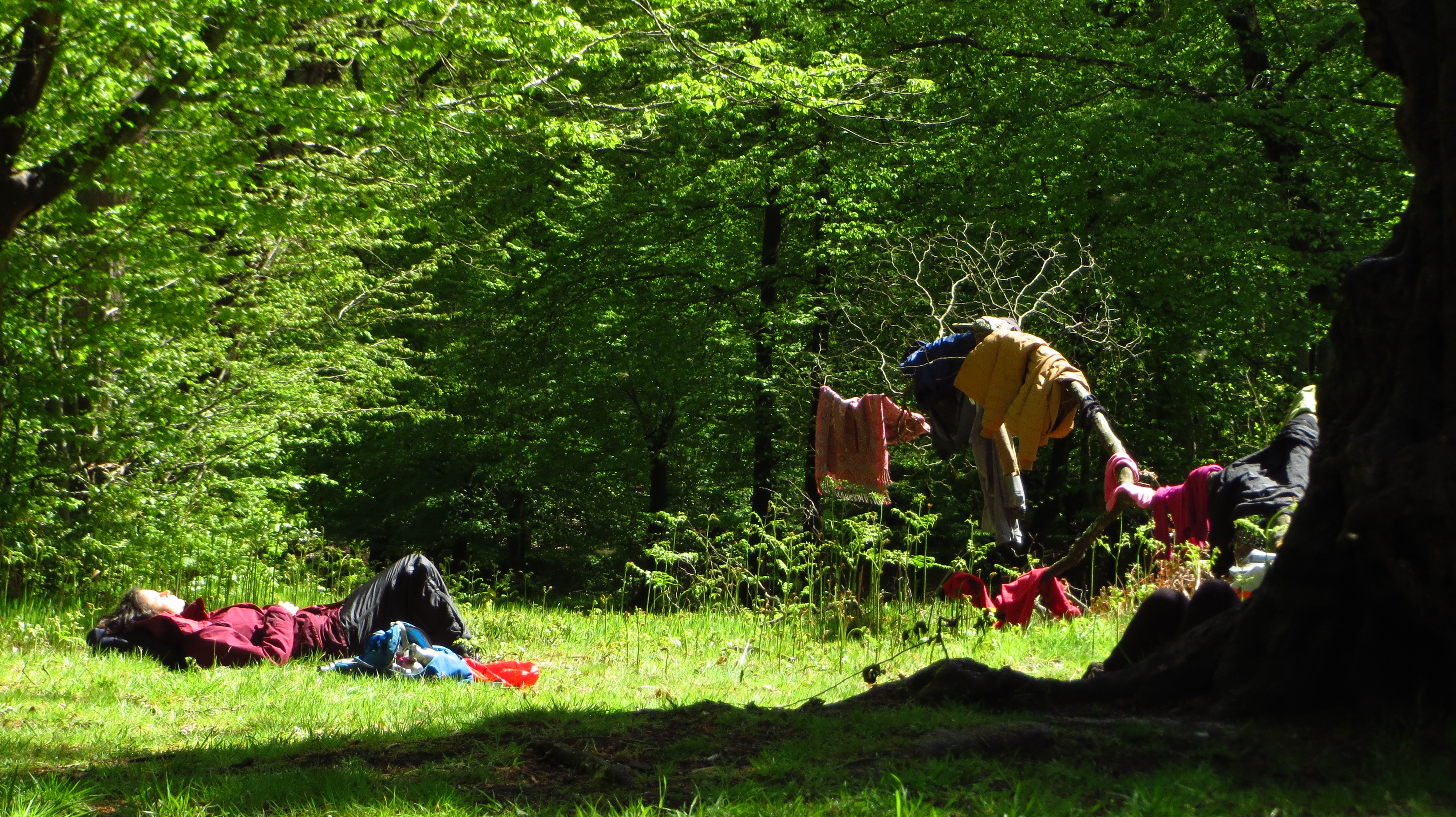 resting after the rain